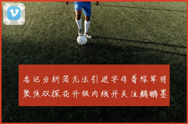 名记分析若无法引进字母哥绿军将聚焦双探花升级内线并关注鹈鹕墨菲